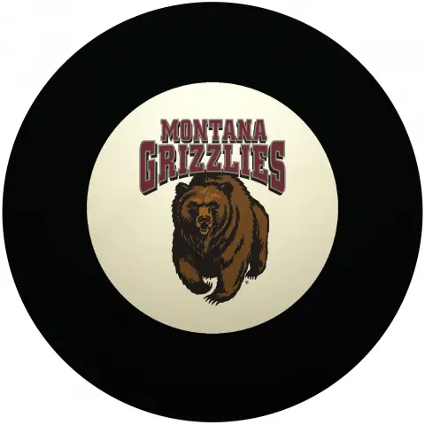Montana Grizzlies Eight Ball