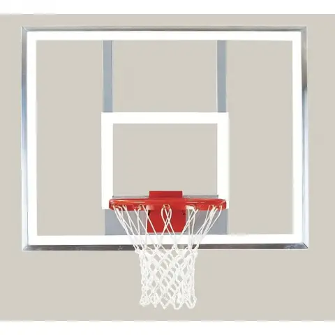 Bison 54" x 42" Polycarbonate Playground Backboard
